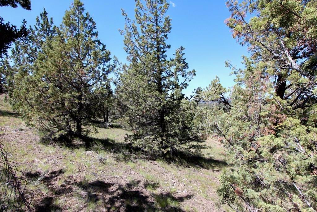 0 SE Seneca Road, Prineville, OR 97754