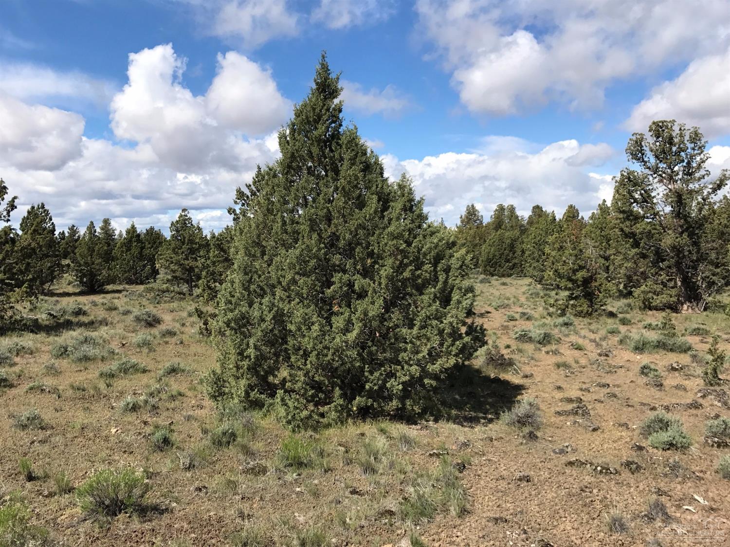 0 Southeast Cahvilla Road, Prineville, OR 97754