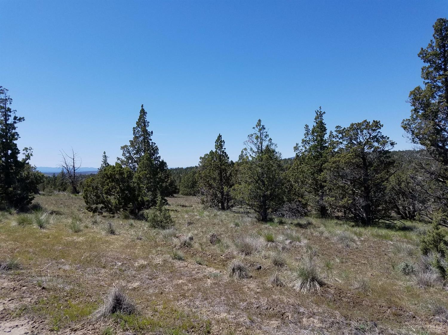 0-Lot 39 Southeast Texas Circle, Prineville, OR 97754