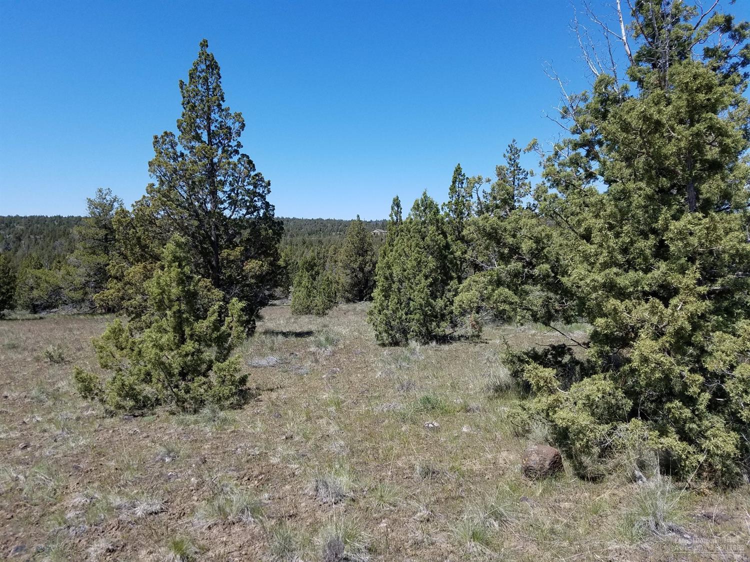 0-Lot 39 Southeast Texas Circle, Prineville, OR 97754