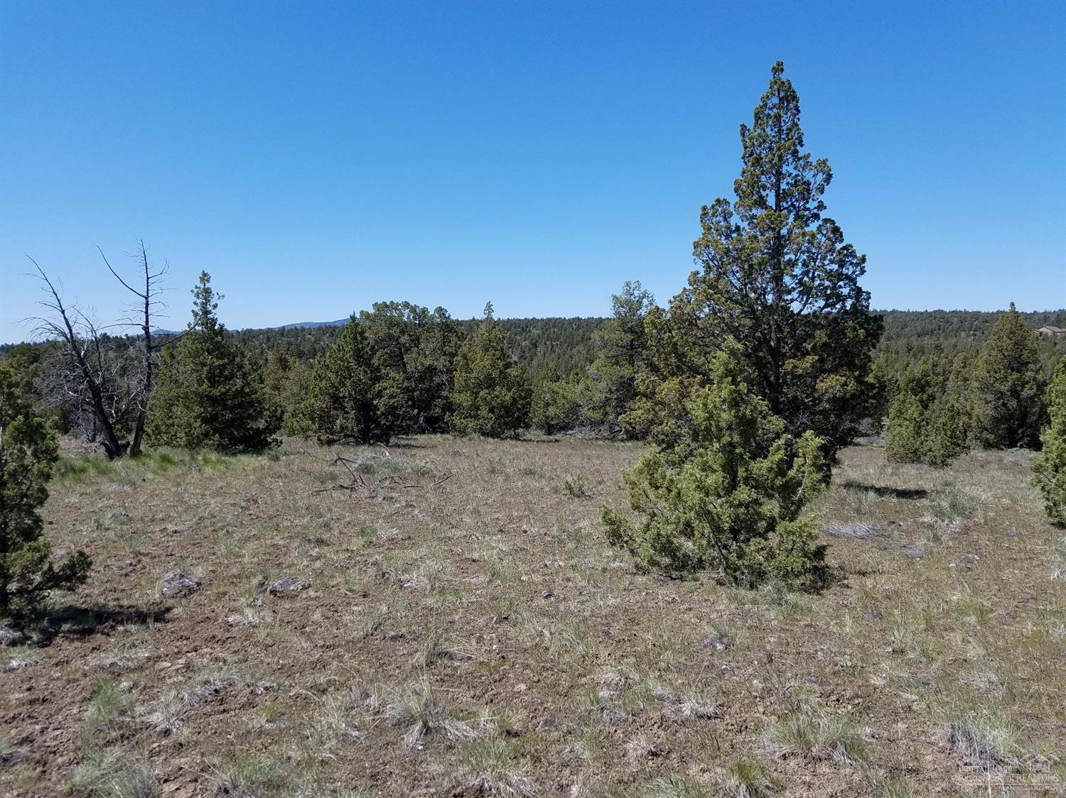 0-Lot 39 Southeast Texas Circle, Prineville, OR 97754