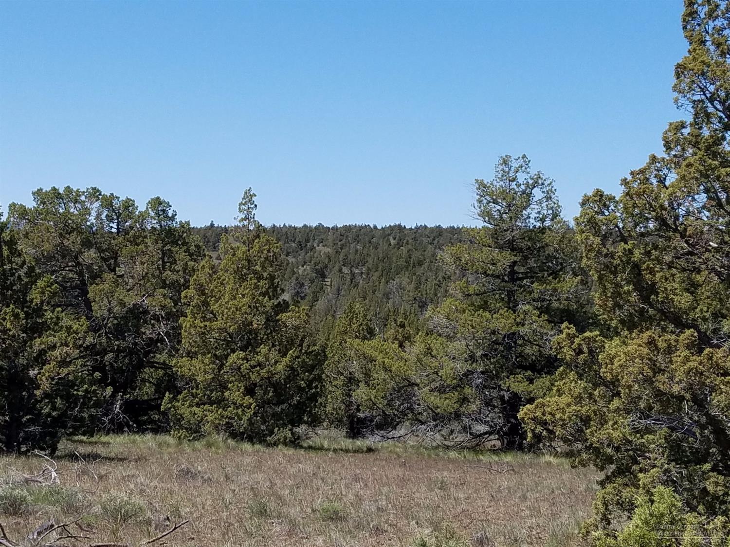 0-Lot 39 Southeast Texas Circle, Prineville, OR 97754