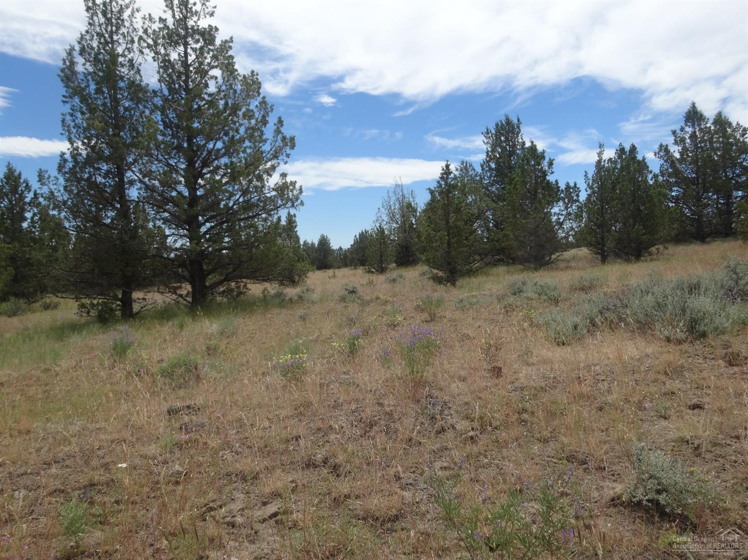 0Goble Drive, Prineville, OR 97754