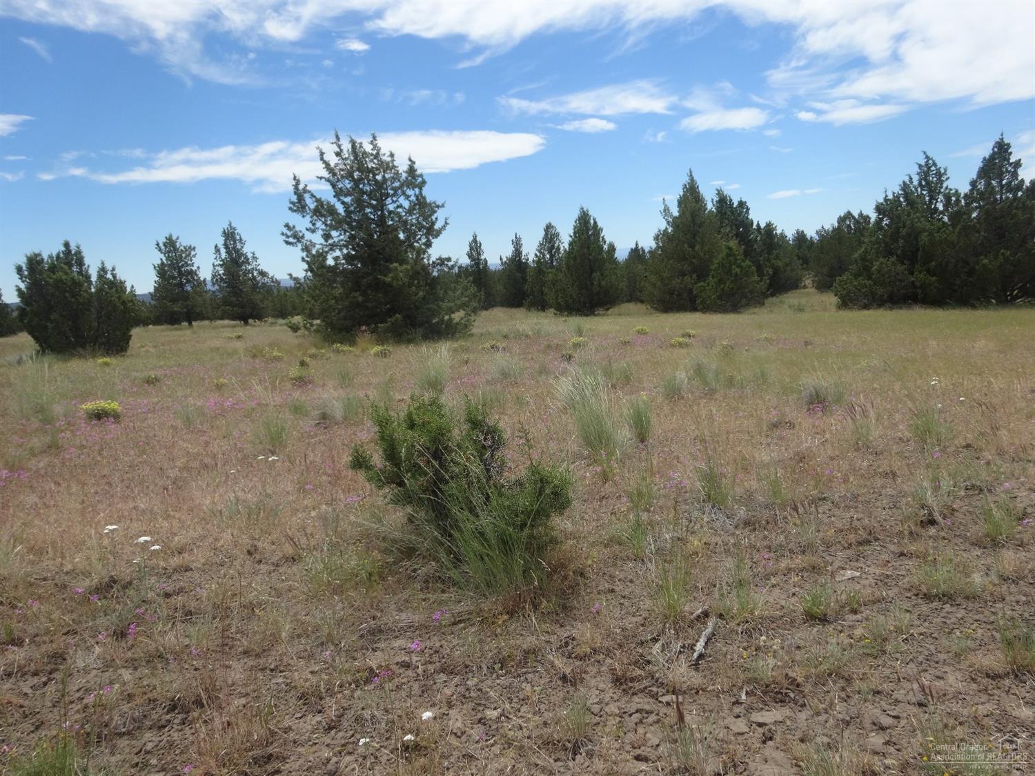 0Goble Drive, Prineville, OR 97754