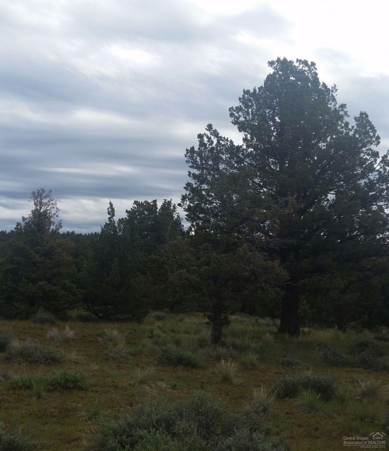 6741 Southeast Ruger Road, Prineville, OR 97754