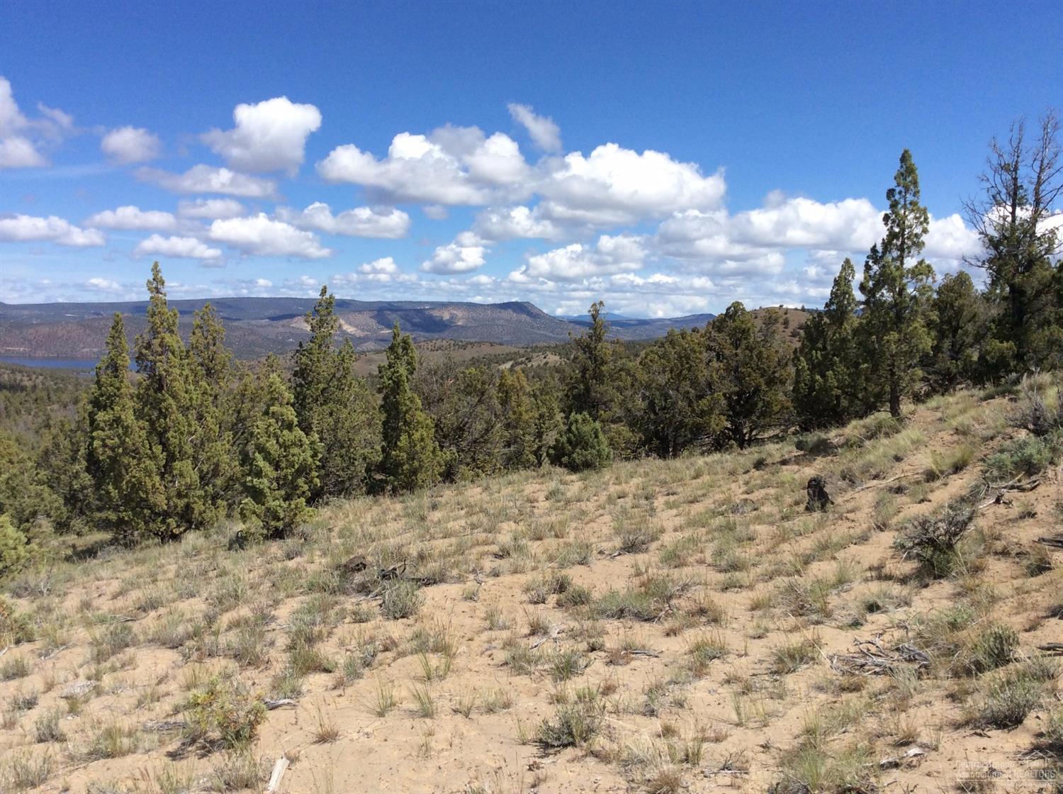 0 Southeast Salt Creek Road, Prineville, OR 97754