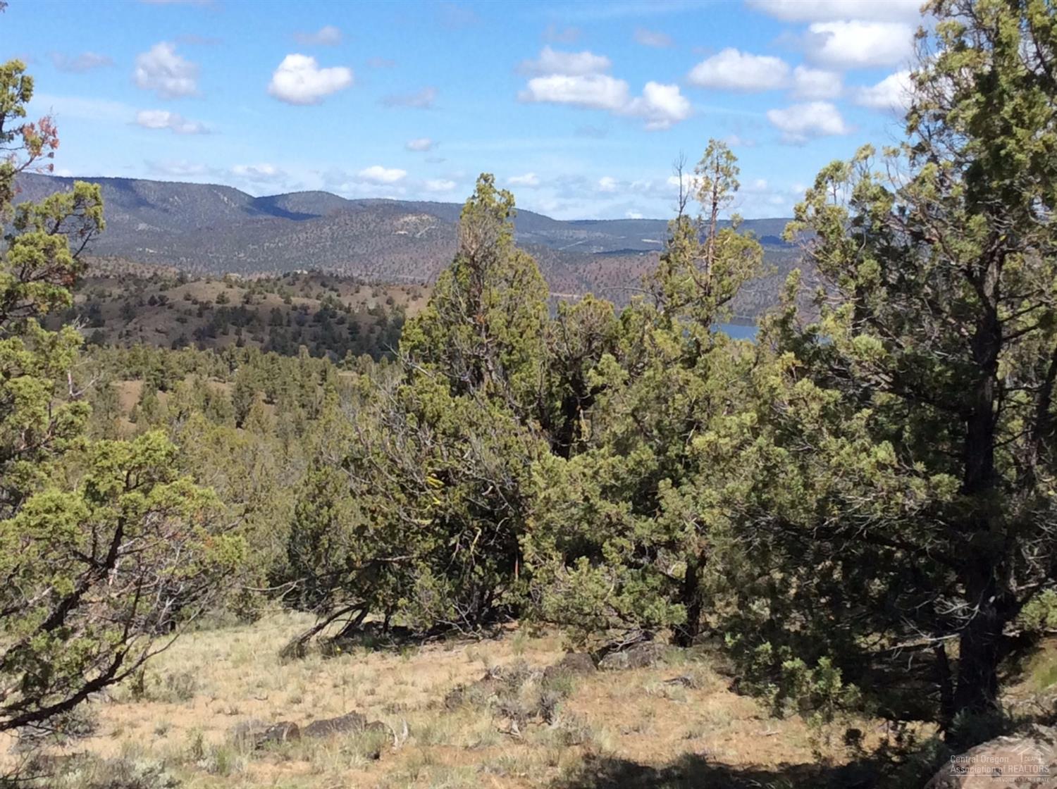 0 Southeast Salt Creek Road, Prineville, OR 97754