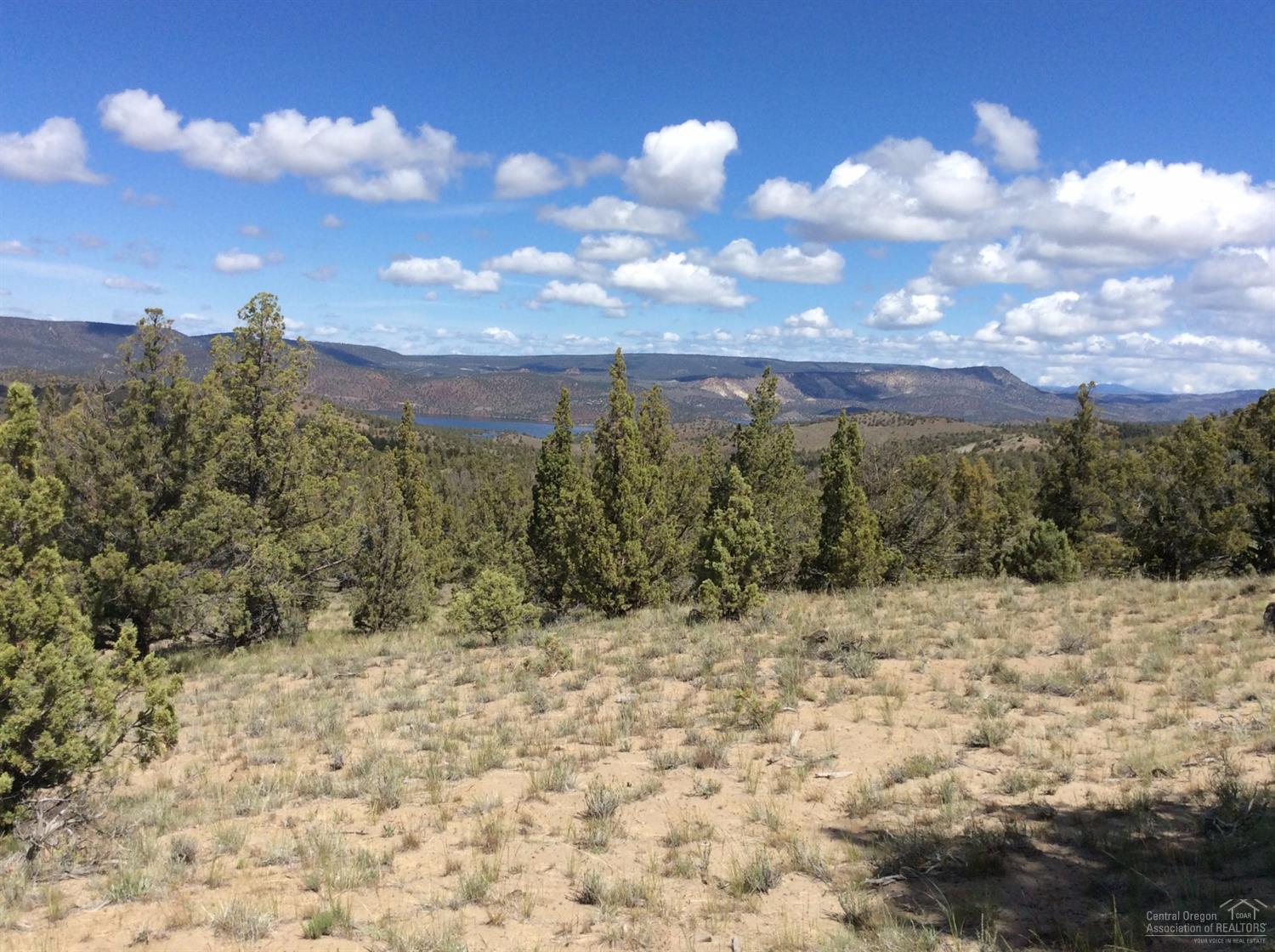 0 Southeast Salt Creek Road, Prineville, OR 97754