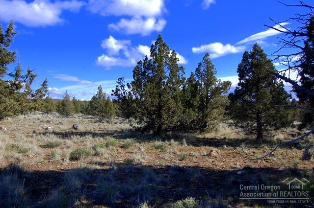 2210 SE Blue Skies Lane, Prineville, OR 97754