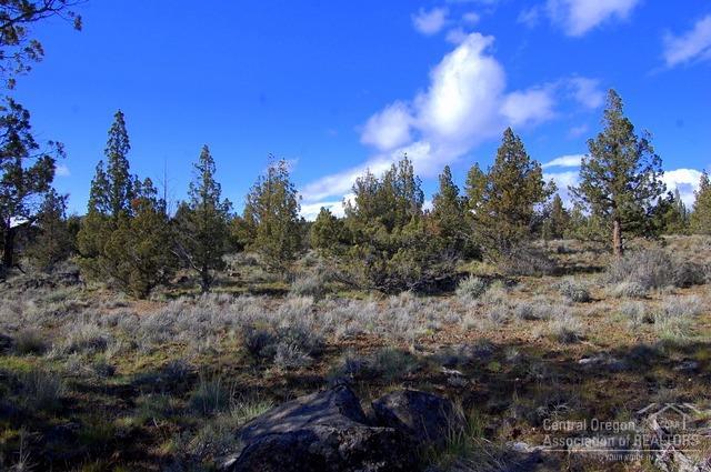2210 SE Blue Skies Lane, Prineville, OR 97754