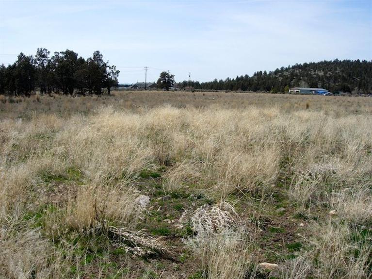 12399-TL 704 Southeast Redtail Lane, Prineville, OR 97754
