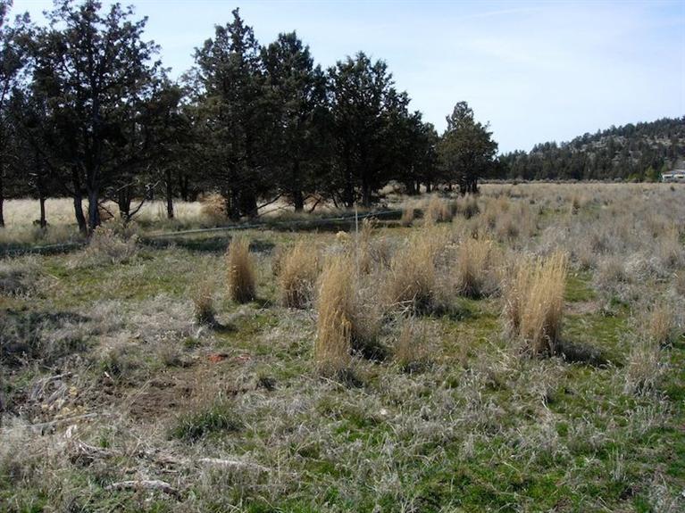 12399-TL 704 Southeast Redtail Lane, Prineville, OR 97754