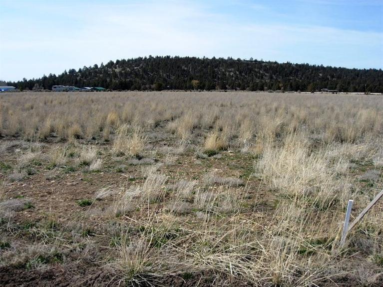 12323-TL 705 Southeast Redtail Lane, Prineville, OR 97754
