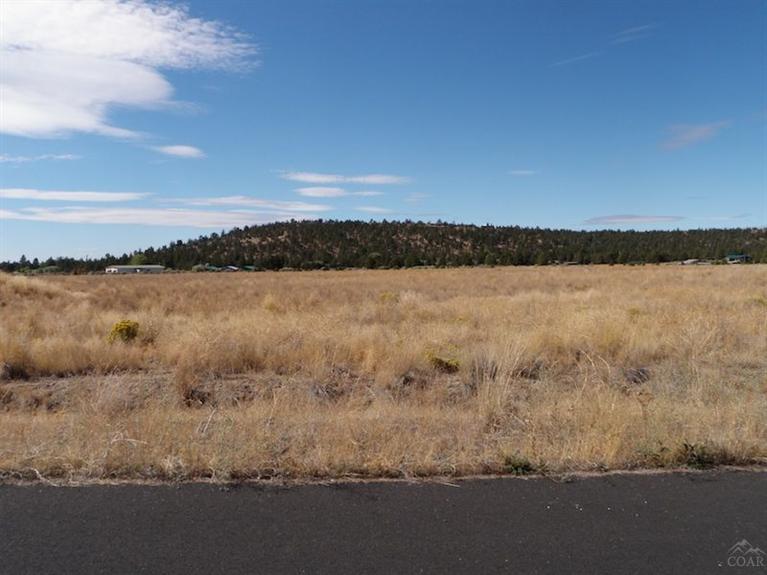 12323-TL 705 Southeast Redtail Lane, Prineville, OR 97754
