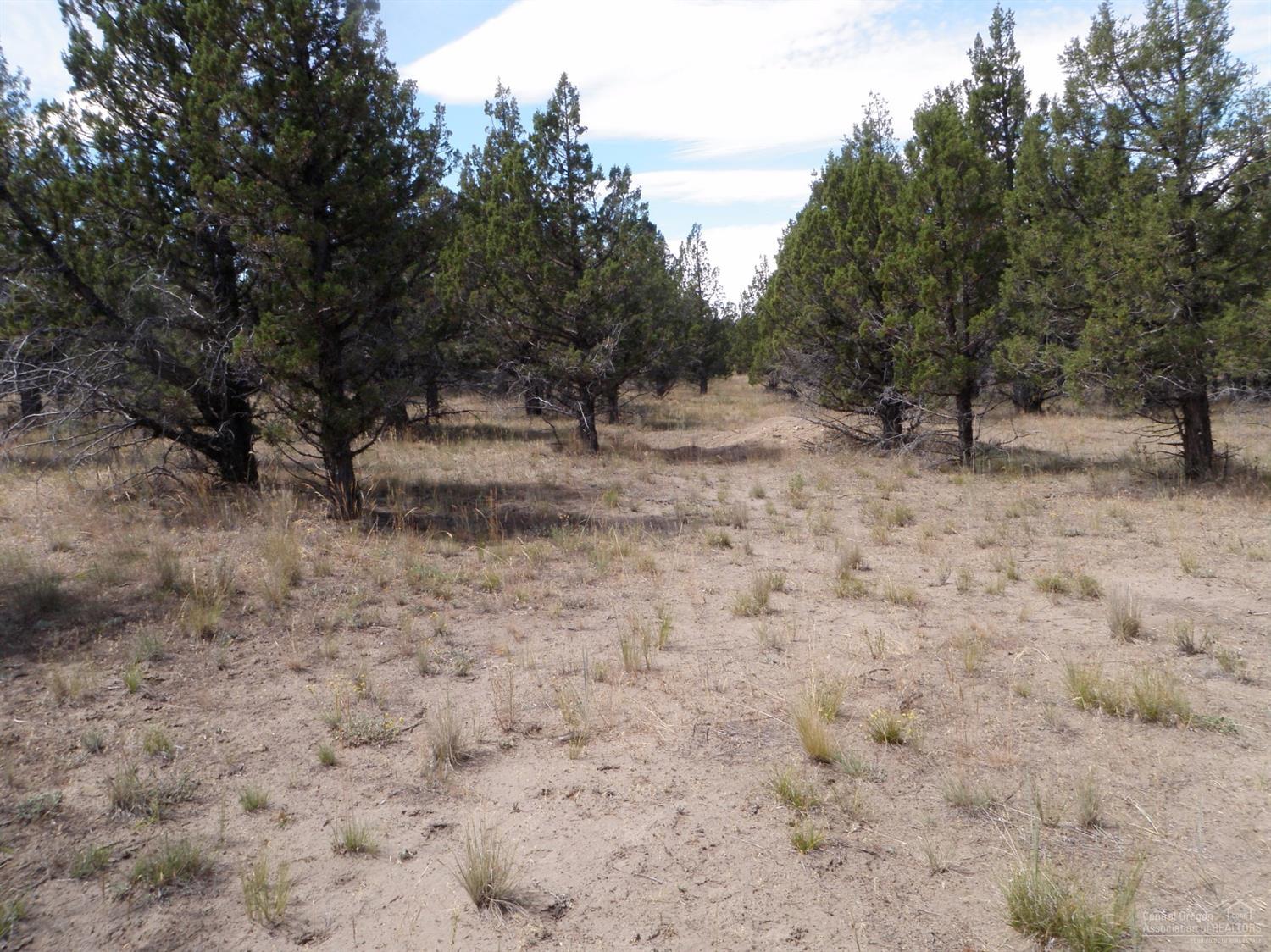0-101-104Juniper Canyon Road, Prineville, OR 97754