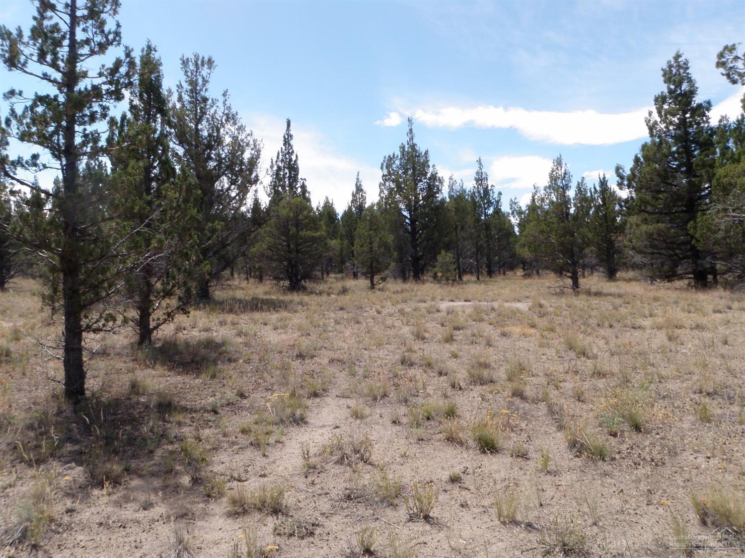 0-101-104Juniper Canyon Road, Prineville, OR 97754