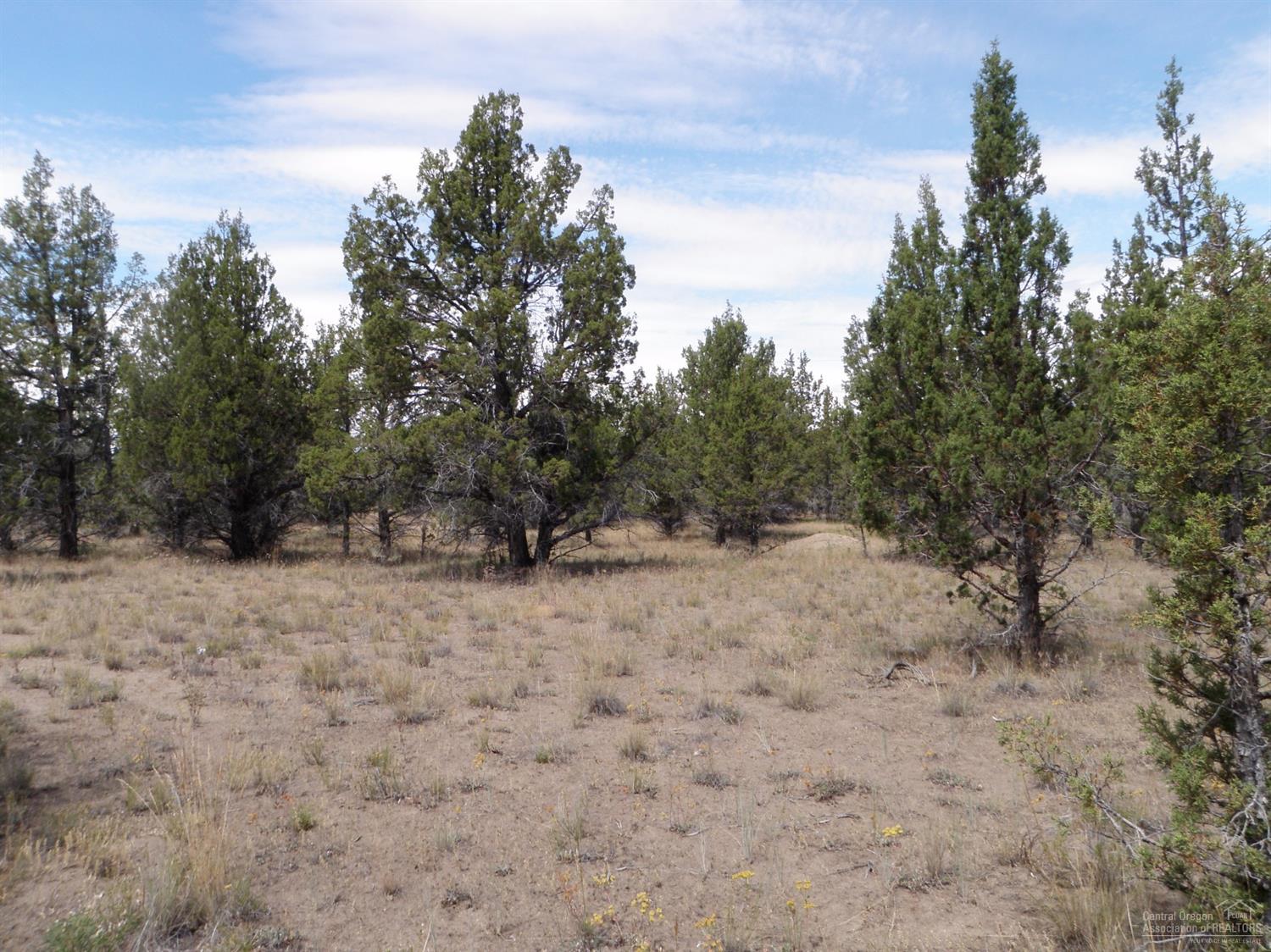 0-101-104Juniper Canyon Road, Prineville, OR 97754