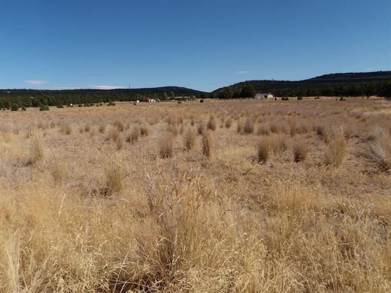 12322-TL 702 Southeast Redtail Lane, Prineville, OR 97754