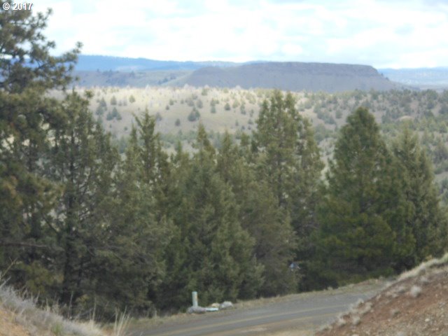 220 Cougar Ridge RD, Canyon City, OR 97820