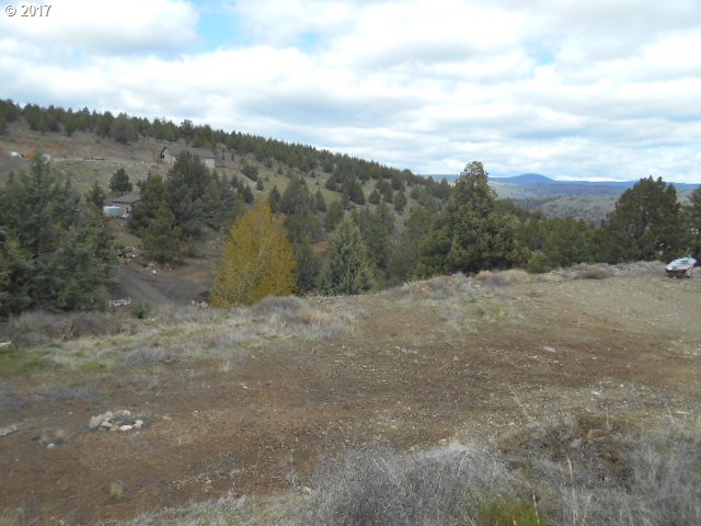 220 Cougar Ridge RD, Canyon City, OR 97820
