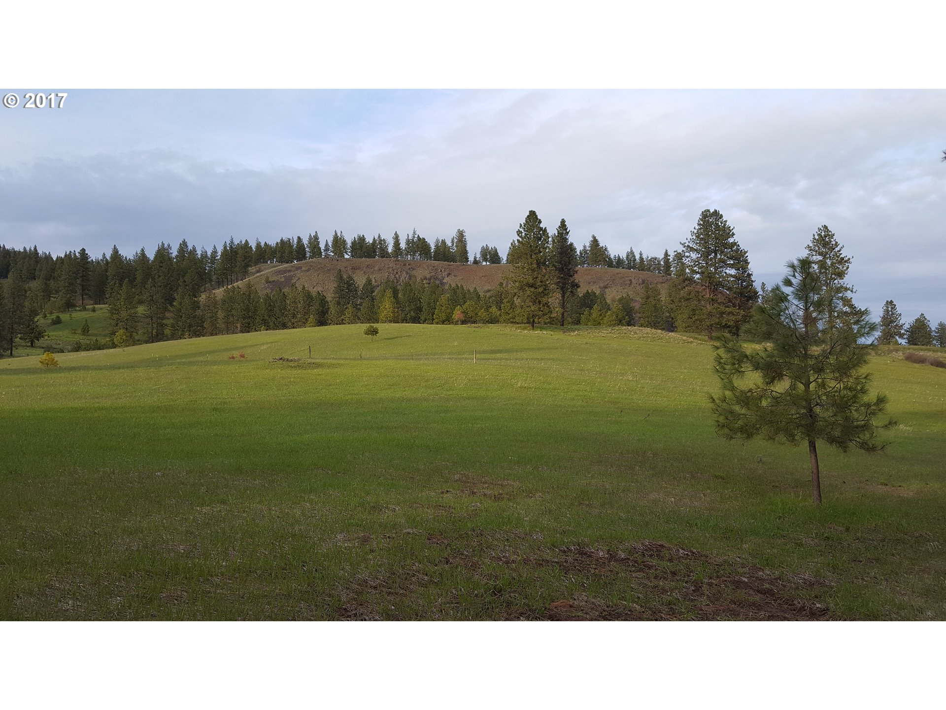 0 Eden Bench, Enterprise, OR 97828