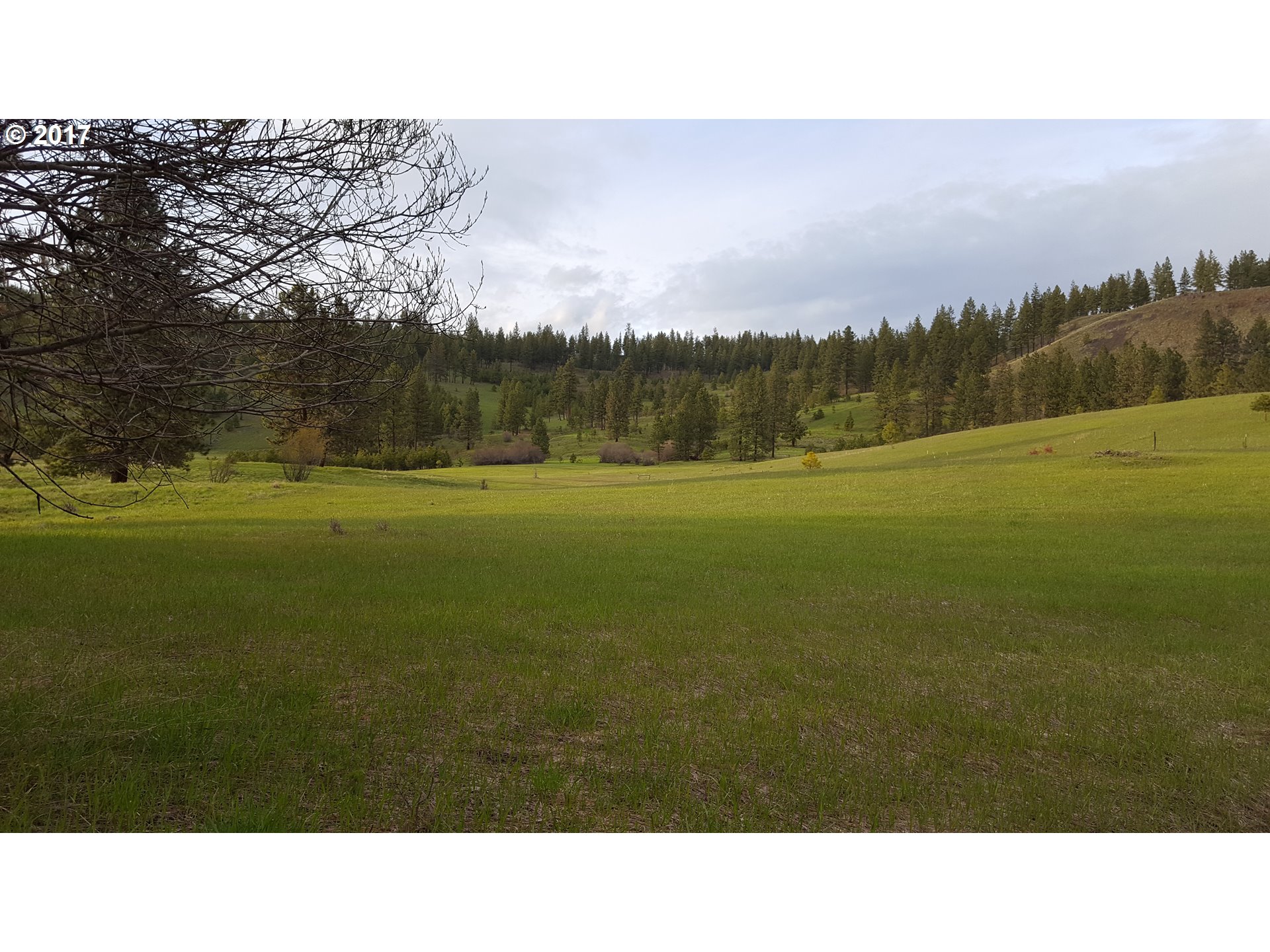 0 Eden Bench, Enterprise, OR 97828