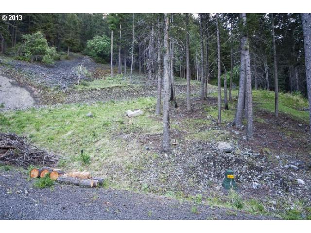 Howard LN, Wallowa Lake, OR 97846