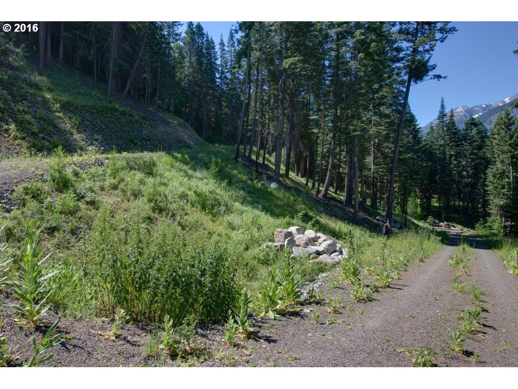 Howard LN, Wallowa Lake, OR 97846