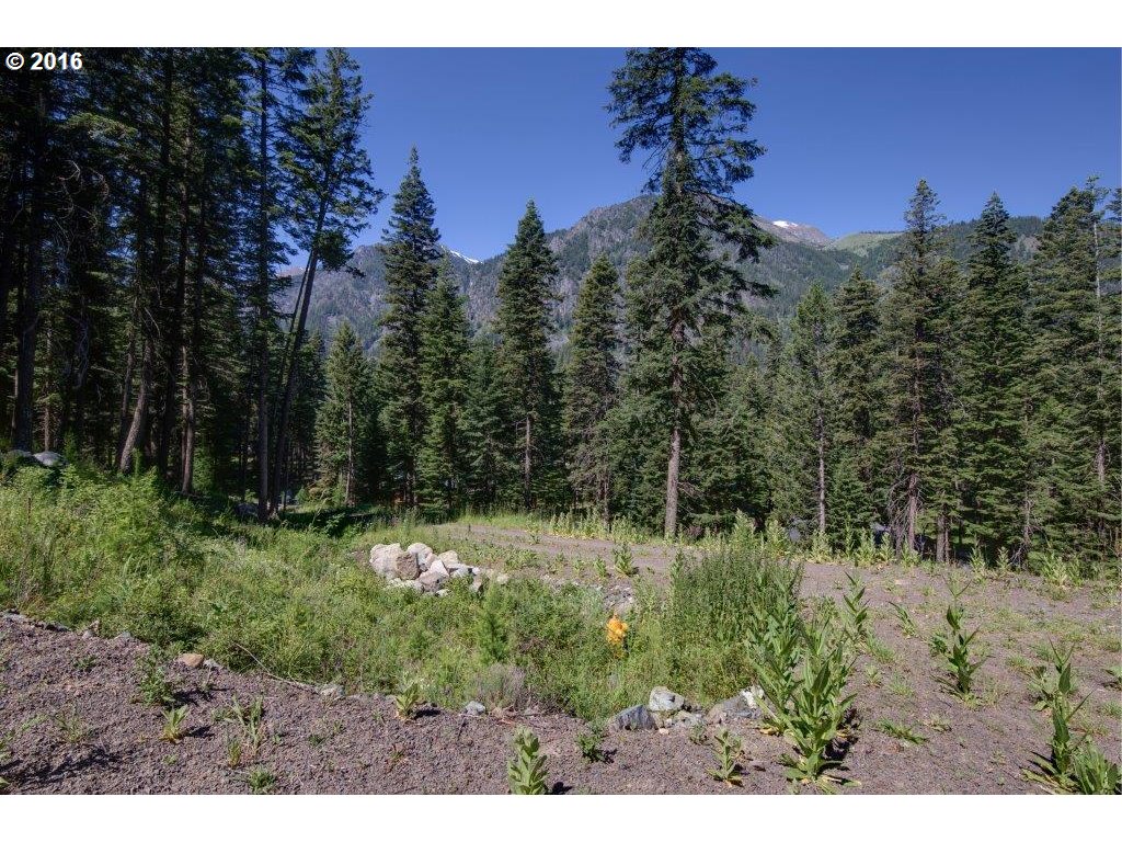Howard LN, Wallowa Lake, OR 97846