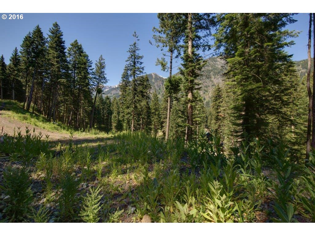 0 Howard LN, Wallowa Lake, OR 97846