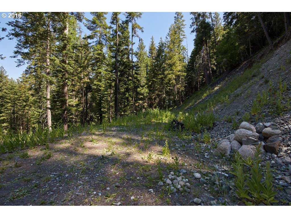 0 Howard LN, Wallowa Lake, OR 97846