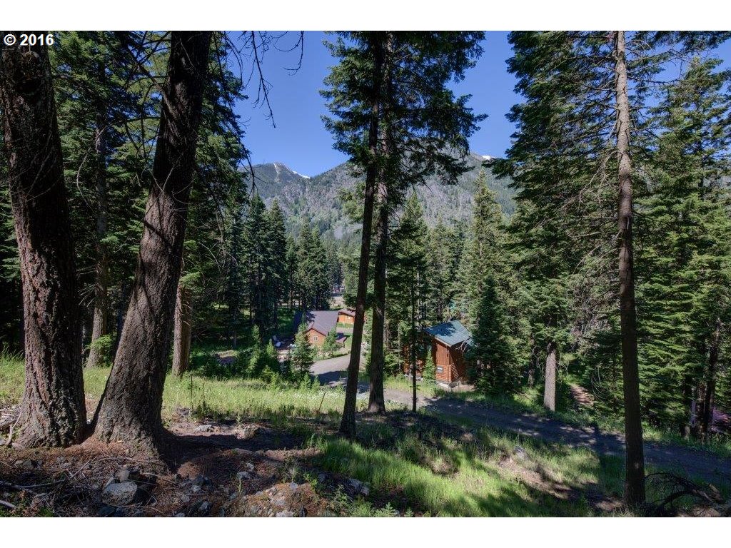 Howard LN, Wallowa Lake, OR 97846