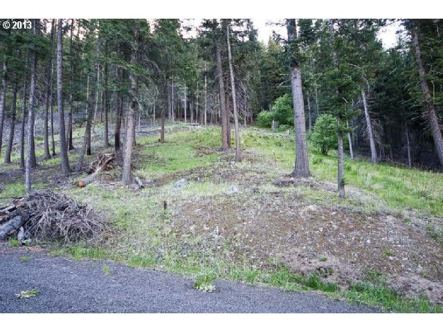 Howard LN, Wallowa Lake, OR 97846