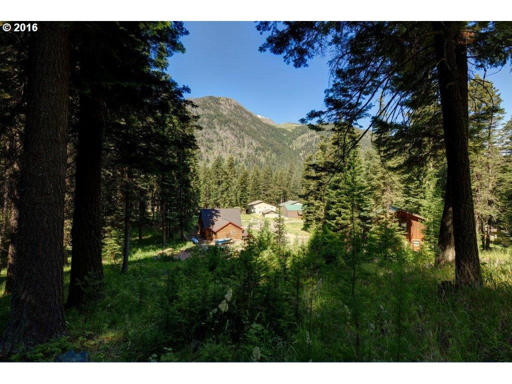 Howard LN, Wallowa Lake, OR 97846