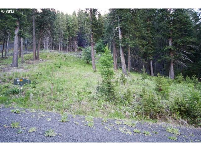 Howard LN, Wallowa Lake, OR 97846