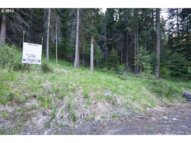 Howard LN, Wallowa Lake, OR 97846