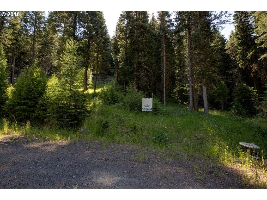 Howard LN, Wallowa Lake, OR 97846
