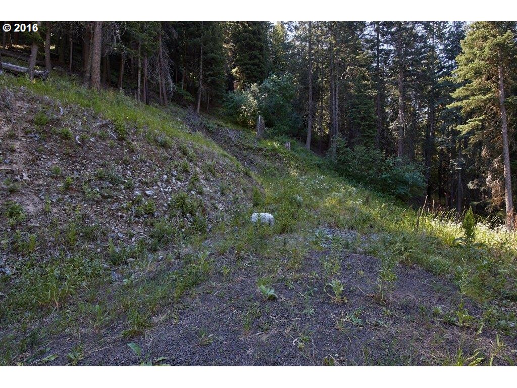 59977 WALLOWA LAKE HWY, Wallowa Lake, OR 97846