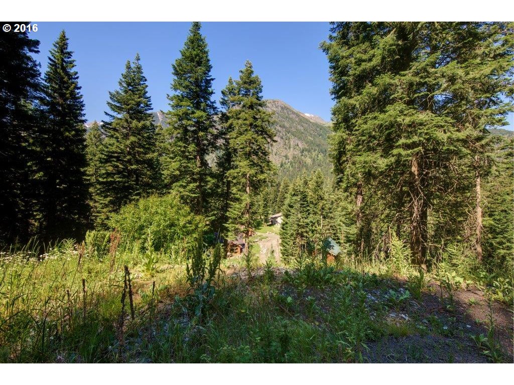 59977 WALLOWA LAKE HWY, Wallowa Lake, OR 97846