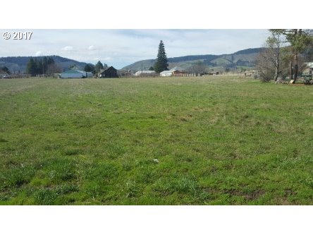 Riddle lot 301 RD, La Grande, OR 97850