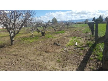 Riddle lot 301 RD, La Grande, OR 97850