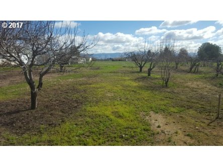 Riddle lot 301 RD, La Grande, OR 97850