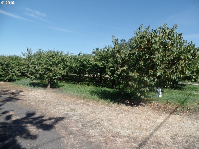 907 Lamb, Milton-Freewater, OR 97862