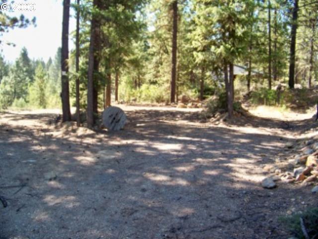 0 Park ST, Sumpter, OR 97877