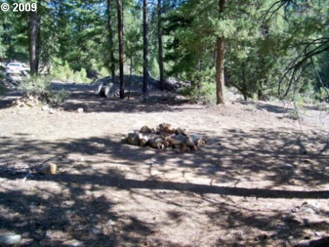 0 Park ST, Sumpter, OR 97877