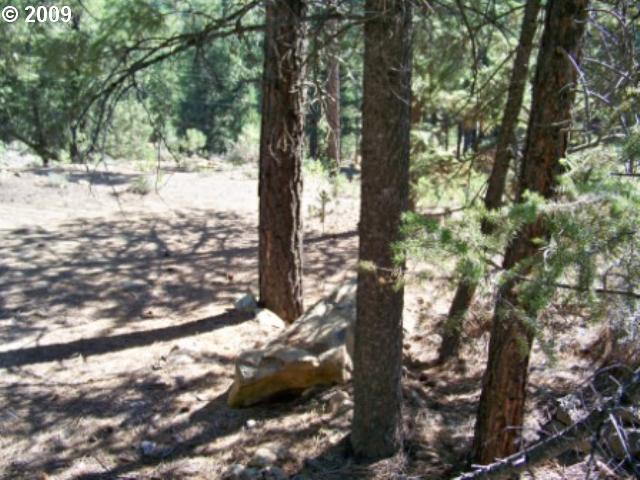 0 Park ST, Sumpter, OR 97877