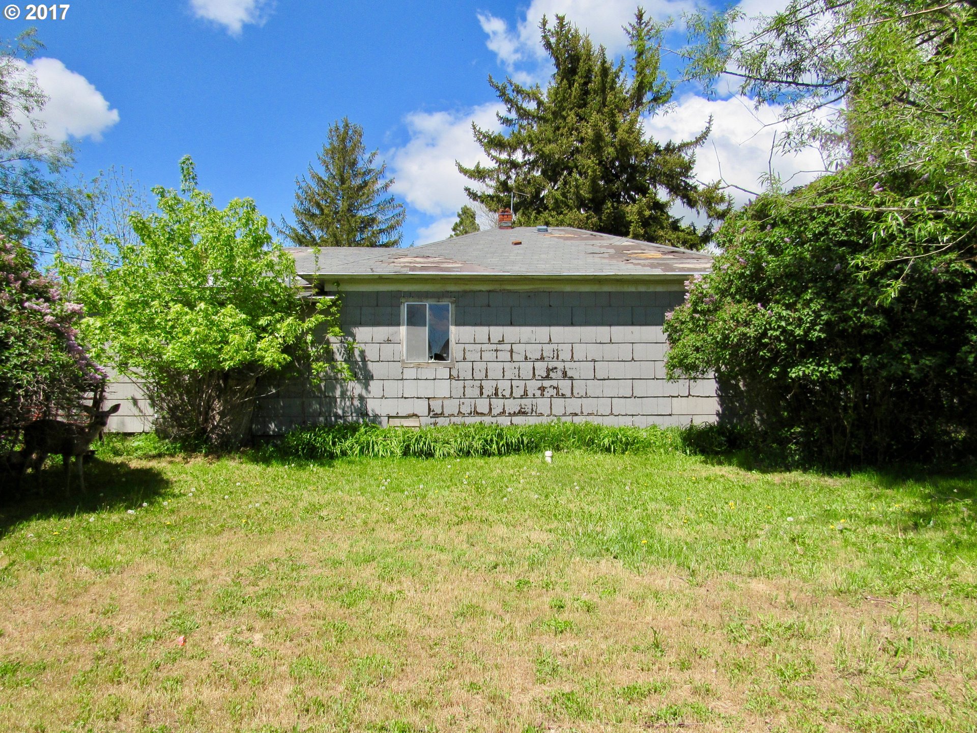 818 N 1ST ST, Union, OR 97883