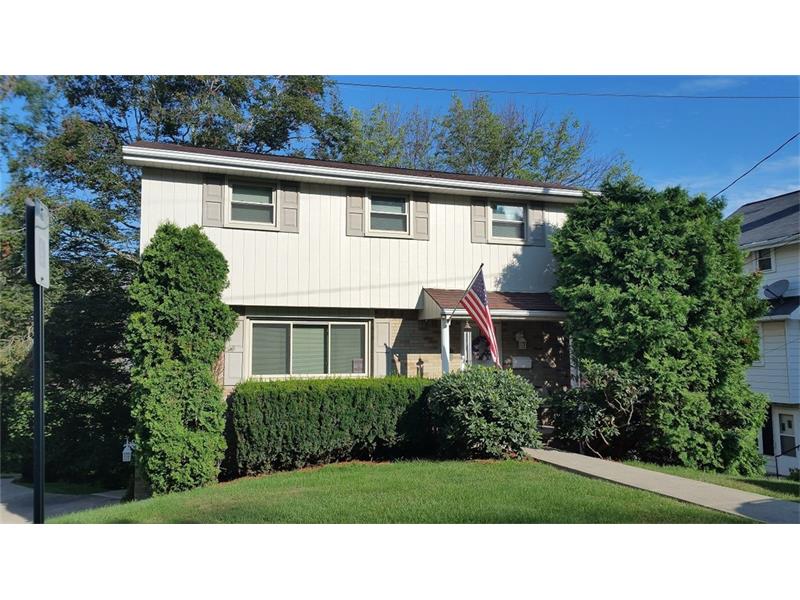 107 Christman, E Washington Boro, PA 15301