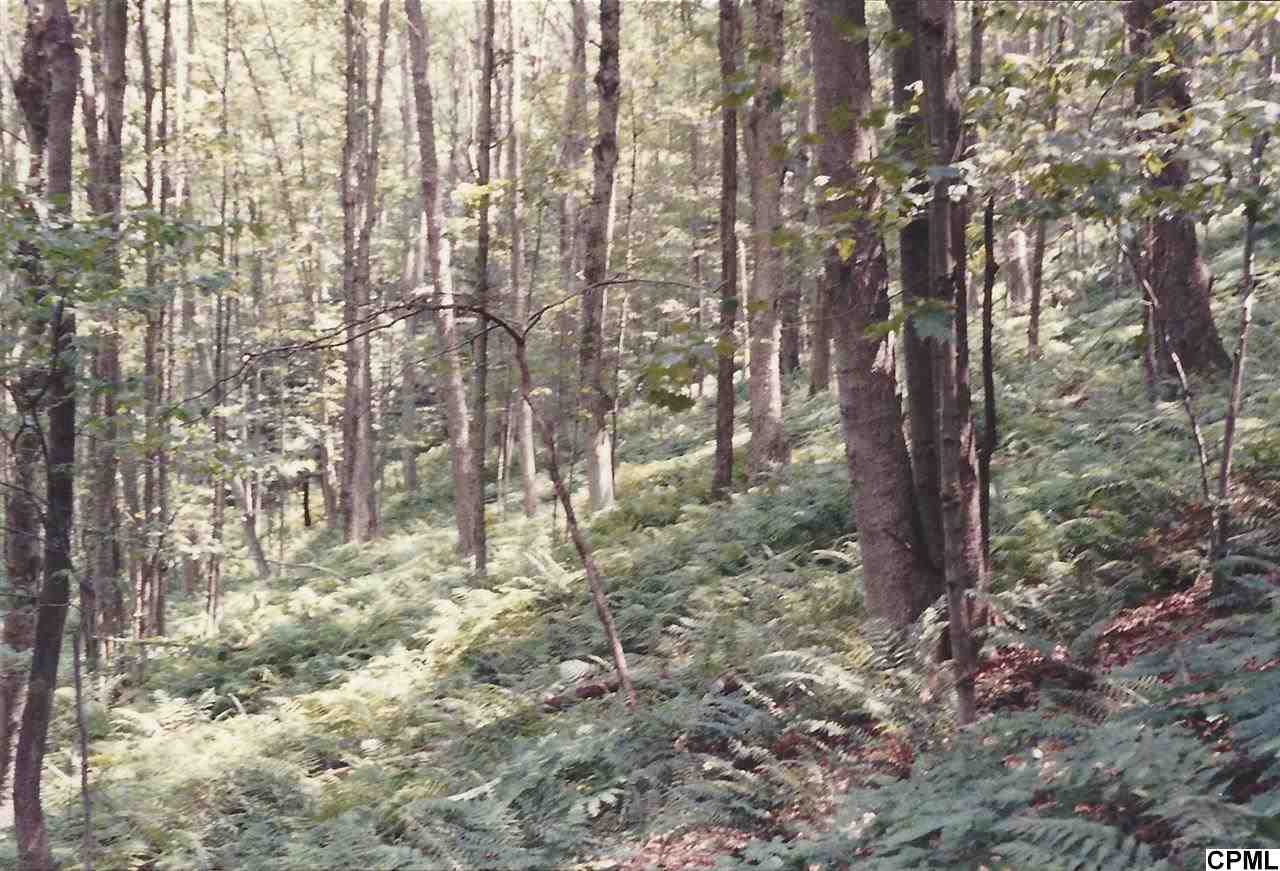 1634 Mile Road, Unknown, PA 15834