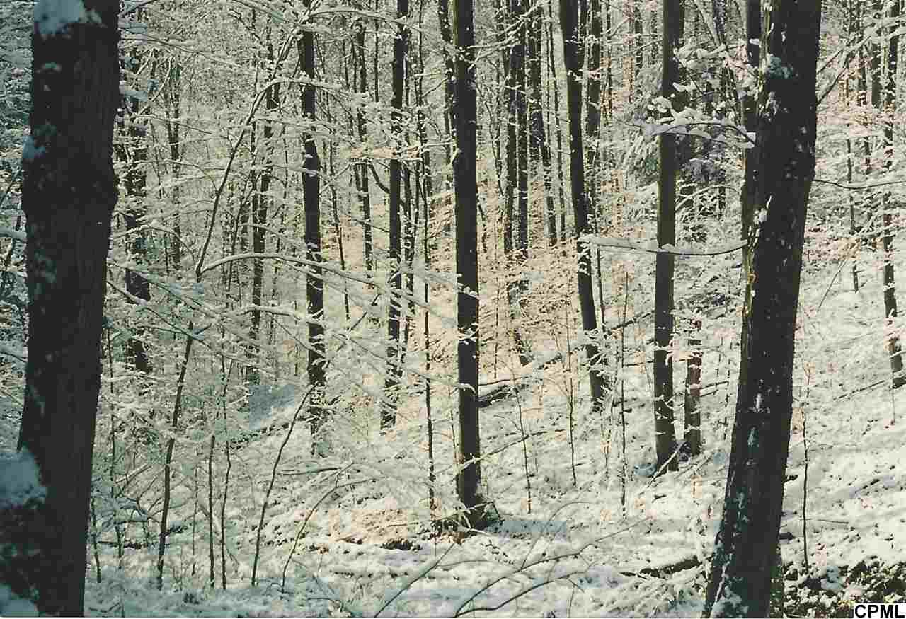 1634 Mile Road, Unknown, PA 15834